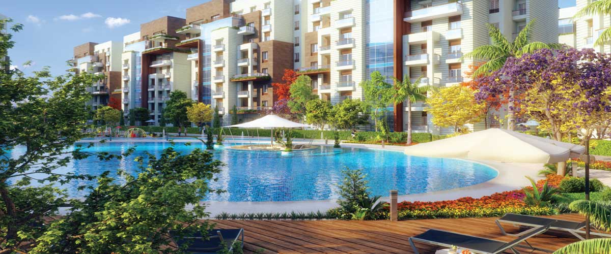 أويا العاصمة الإدارية الجديدة