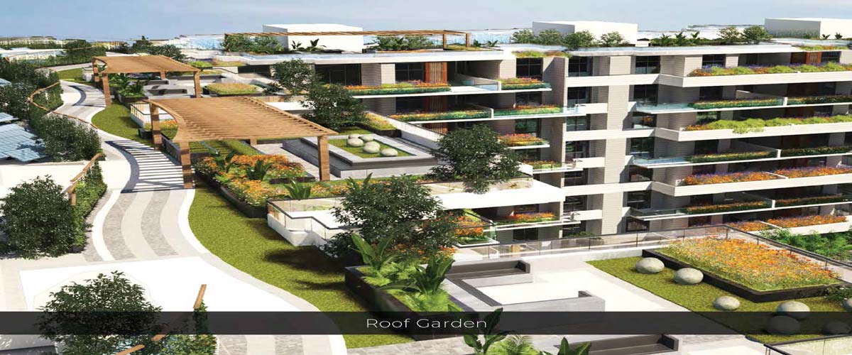 دي جويا العاصمة الإدارية الجديدة