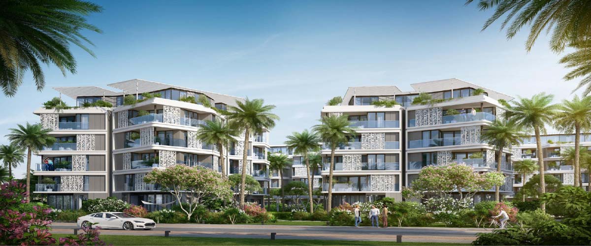 بادية بالم هيلز اكتوبر