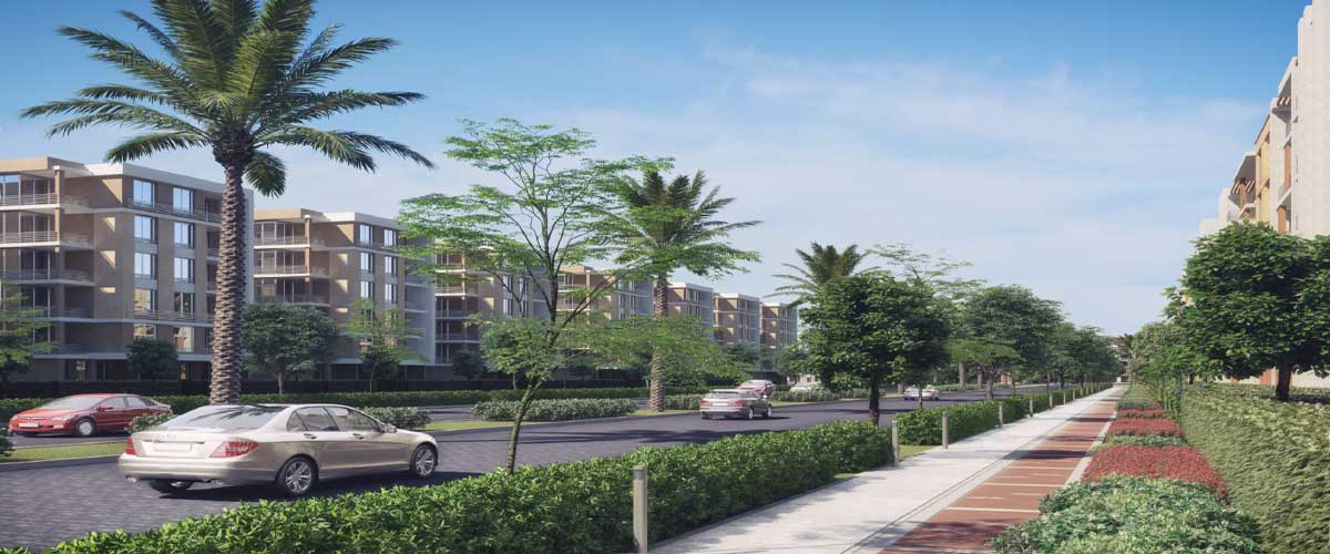  تاج سلطان القاهرة الجديدة