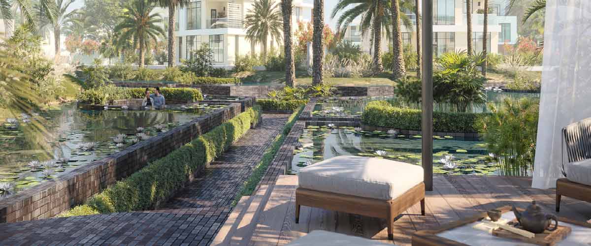 كايرو جيت الشيخ زايد