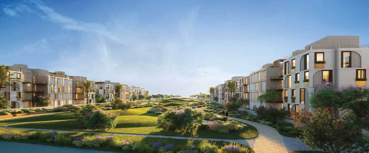 فاي سوديك الشيخ زايد