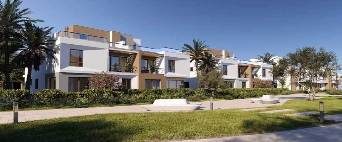 فاي سوديك الشيخ زايد