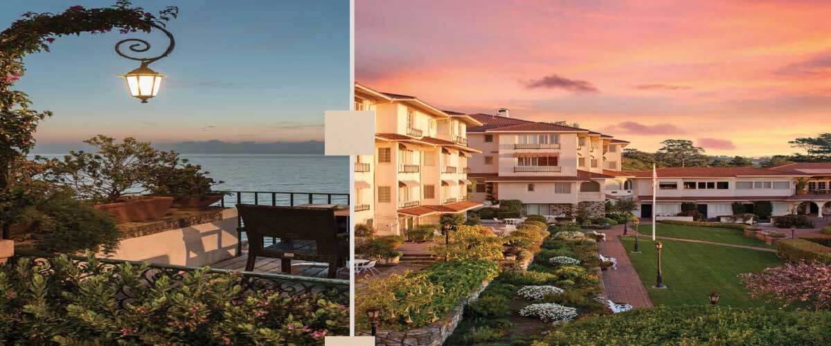 كارميل سوديك الشيخ زايد