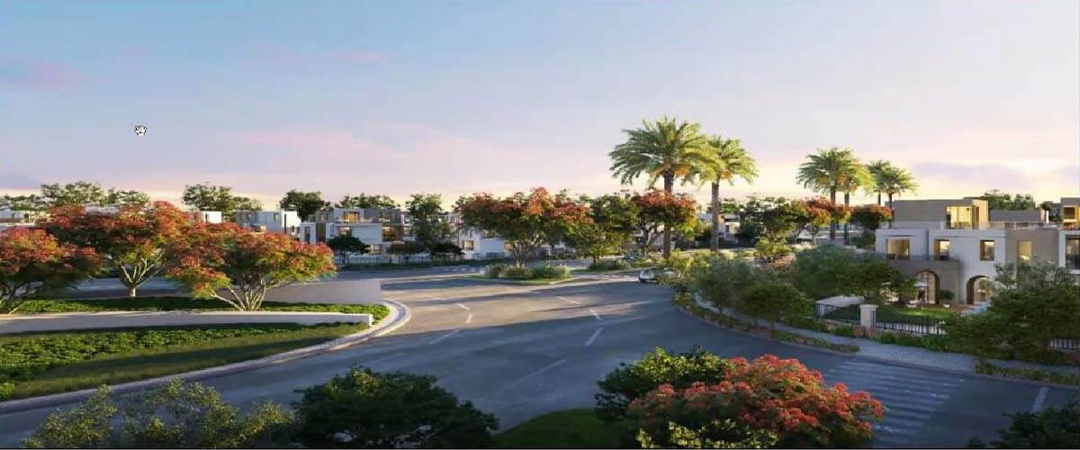 فاي سوديك الشيخ زايد