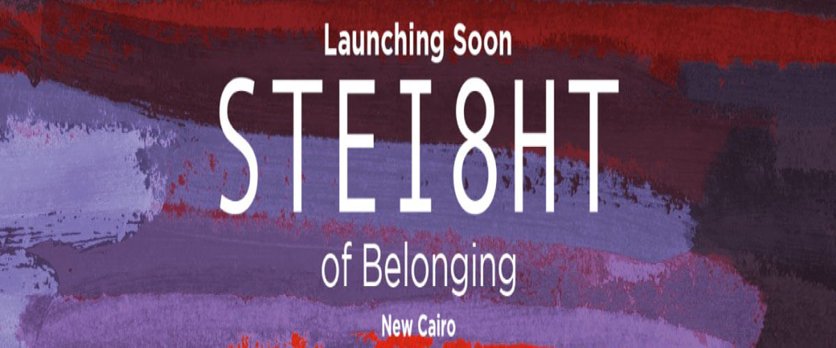 ستيت القاهرة الجديدة Stei8ht New Cairo