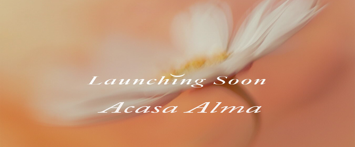 Prices and Spaces of Acasa Alma Sixth Settlement Compound