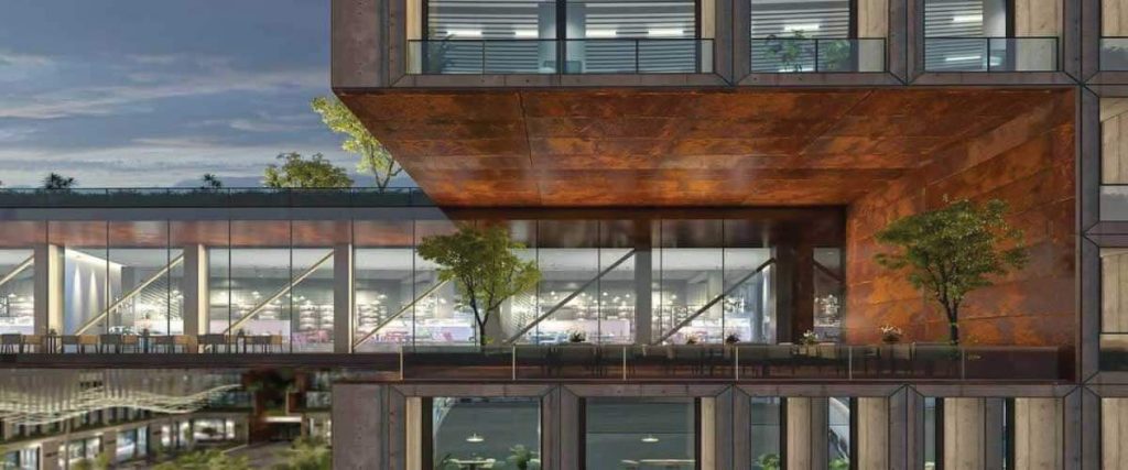 مول براكتس التجمع