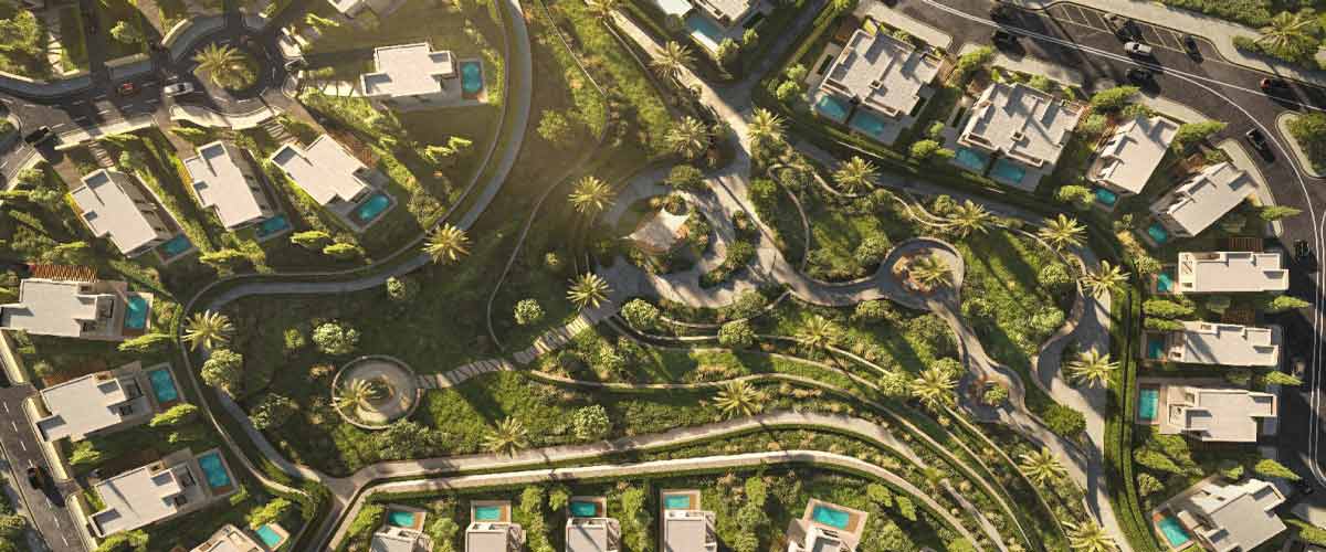 The Hillage Sheikh Zayed