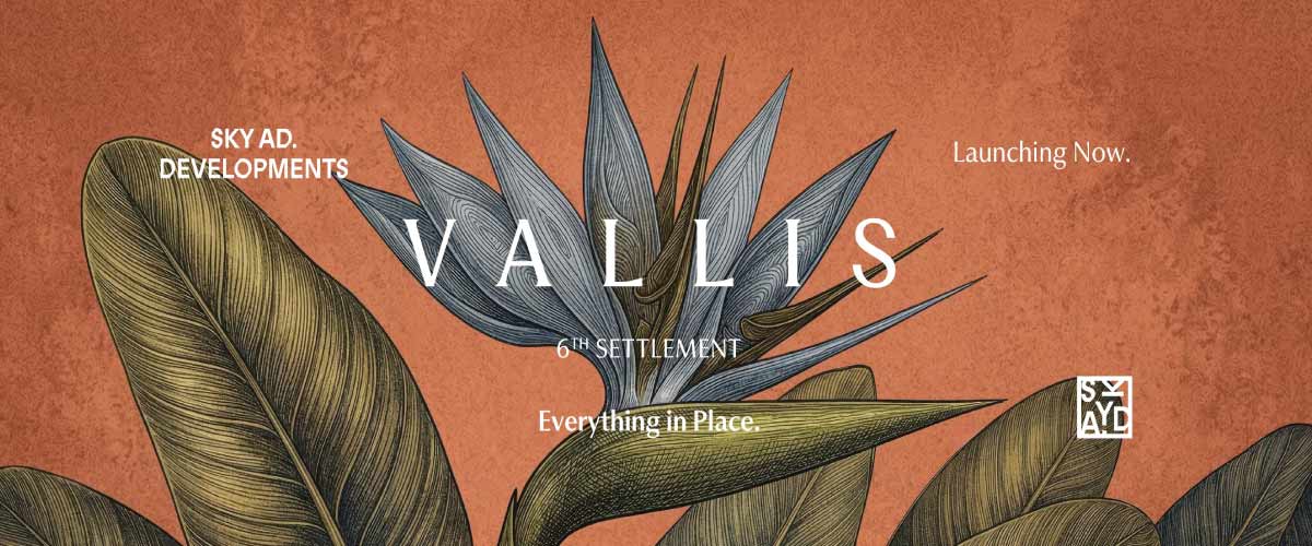 Vallis New Cairo