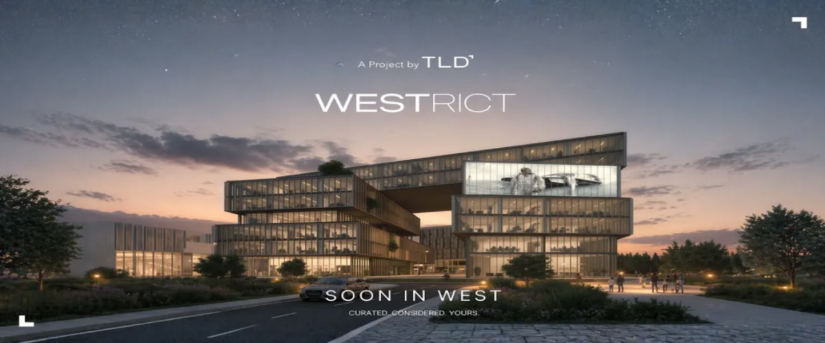 ويستريكت الشيخ زايد